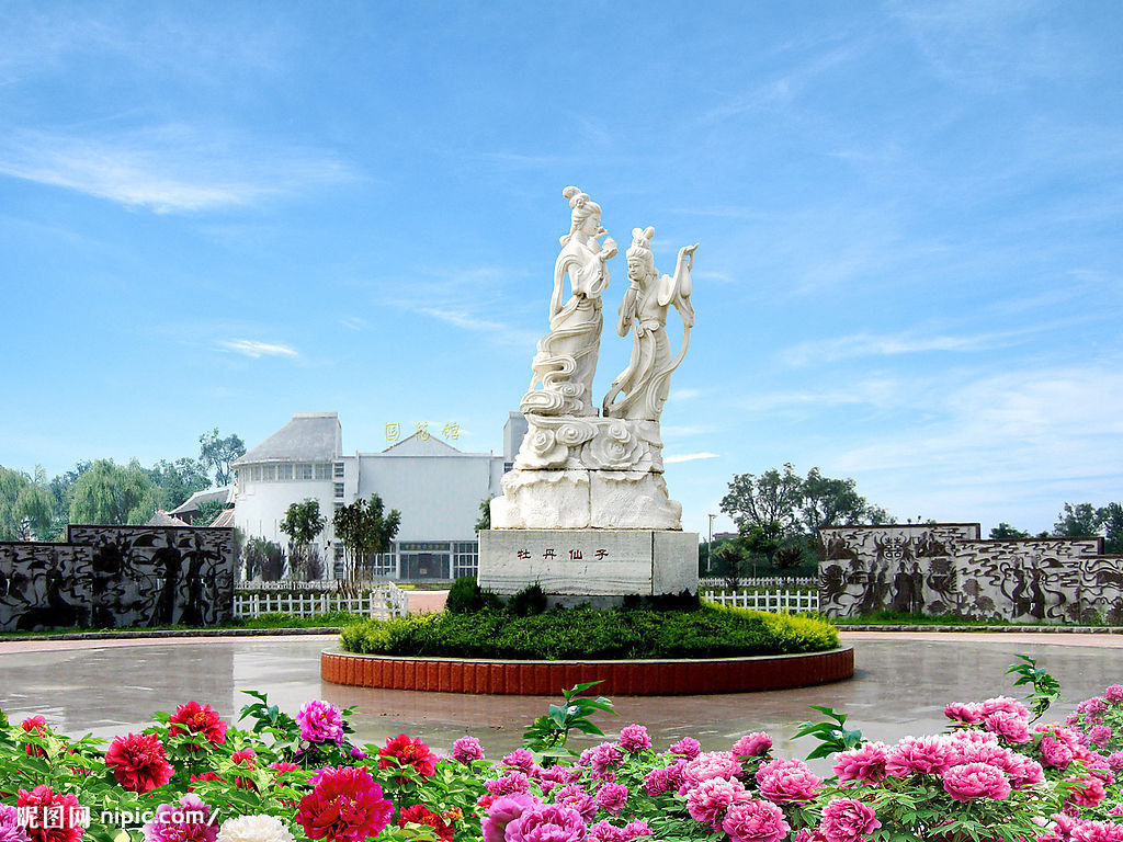 ����ĵ��������